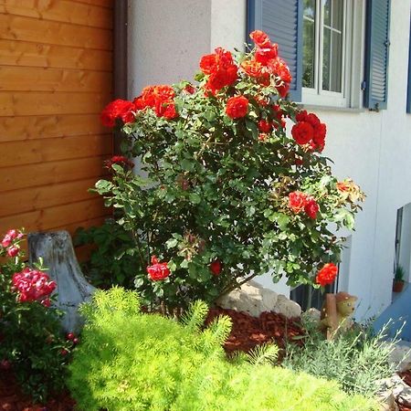 Ferienwohnung Weiser Kressbronn am Bodensee Esterno foto
