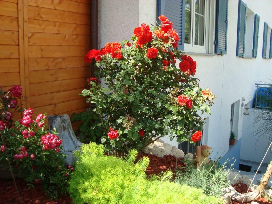Ferienwohnung Weiser Kressbronn am Bodensee Esterno foto